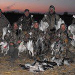 Good snow goose migration