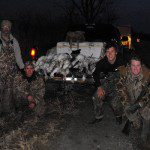 Spring snow goose season