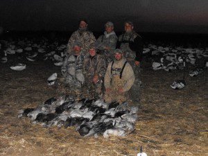 Another fine day in the snow goose decoy spread