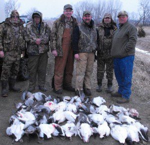 South Dakota snow goose hunting