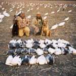 Dave 36 birds
