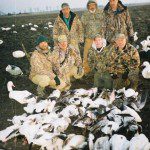 These snow goose hunters left at noon on their last day with nice pile of snow geese. Up North Outdoors snow goose guides Curt Schrader, Jim Weston, and owner Tracy Northup hunted the afternoon. Total for the field that day was 101 snow geese.