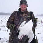 Another baned snow goose