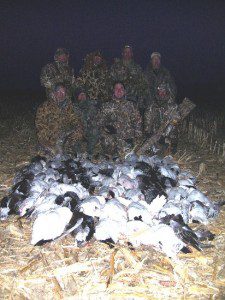 Above average day snow goose hunting