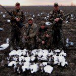 Snow Goose Hunting