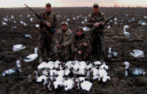Snow Goose Hunting