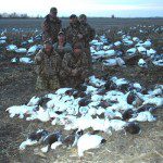 Dave from Sundance Hunt Club in CA treats his guides to a Missouri snow goose hunt. They have snows in CA but hardly any blues. A blue goose is a real trophy for these guys. The 75 bird day they had here isn't so bad either.