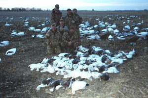 Dave from Sundance Hunt Club in CA treats his guides to a Missouri snow goose hunt. They have snows in CA but hardly any blues. A blue goose is a real trophy for these guys. The 75 bird day they had here isn't so bad either.