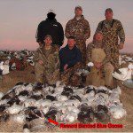 These hunters shot 69 snow geese and a double banded on a blue goose. One regular leg band and a $20 reward band.
