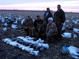 Snow Goose windsock decoys