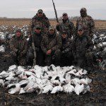 This is by far the luckiest party we have ever hunted. Big day seem to follow these guys where ever they go. Here they shoot 60 snow geese.