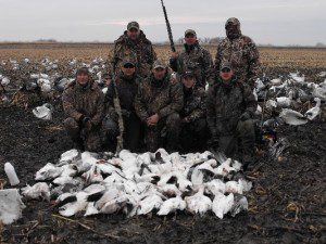 This is by far the luckiest party we have ever hunted. Big day seem to follow these guys where ever they go. Here they shoot 60 snow geese.