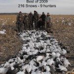 This is one of the best days I have ever seen on our spring snow goose hunts. This field shot 216 snow geese on March 11, 2009. This day is often referred to as “Bloody Wednesday” because there was so many snow geese shot that day.