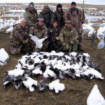 Here is a South Dakota snow goose hunt where we hunted a pasture.