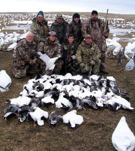 Here is a South Dakota snow goose hunt where we hunted a pasture.