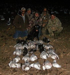 Spring Snow Goose Hunts 2014_005