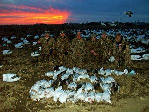 Spring Snow Goose Hunts 2014_013