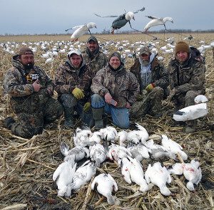 Spring Snow Goose Hunts 2014_018