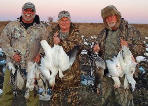 Spring Snow Goose Hunts 2014_025