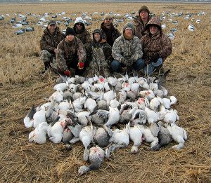 Arkansas rice field snow goose hunt