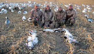Another average day snow goose hunting.