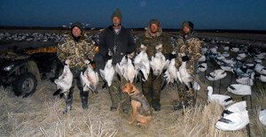 Spring Snow Goose Hunts 2014_041