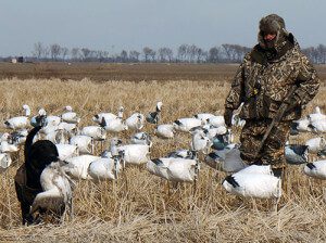 Spring Snow Goose Hunts 2014_042