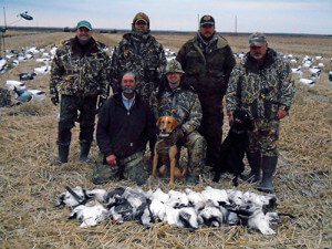 Spring Snow Goose Hunts 2014_043
