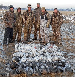 This is one of those days you don't expect. A day after the ice storm in Arkansas with everything frozen the snow geese bombed into this spread.