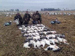 Above average day in Arkansas.