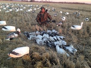 Spring Snow Goose Hunts 2014_060