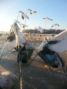 Picture from the big ice storm in Arkansas during the 2014 spring snow goose season.