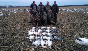 Spring Snow Goose Hunts 2014_081