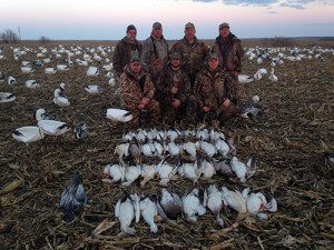 Spring Snow Goose Hunts 2014_082