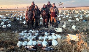 Spring Snow Goose Hunts 2014_083