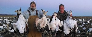 Spring Snow Goose Hunts 2014_086