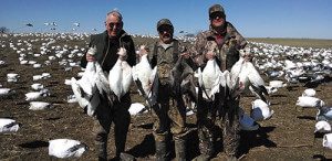 Spring Snow Goose Hunts 2014_087