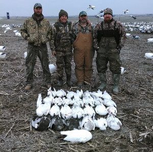 Spring Snow Goose Hunts 2014_091