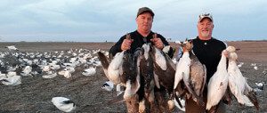 Spring Snow Goose Hunts 2014_098