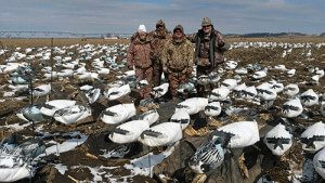 Big spread, good friends, good times during this snow goose hunt.