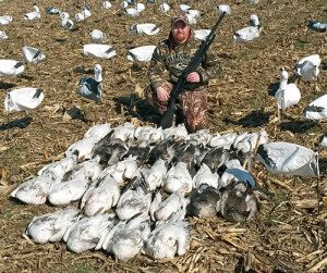 Missouri Spring Snow Goose Hunt 2014