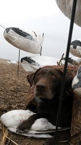 This one is mine!