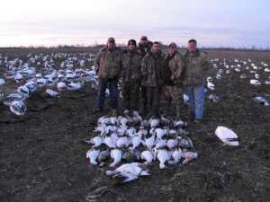 CA boyz are back for a guided snow goose hunt
