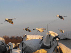 Deadly Decoy™ Flyer Flock