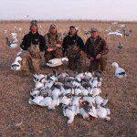 February 24…another example of a great February snow goose hunting. This party shot 38 for the day...10 in the morning and 28 in the afternoon. I had hunted the morning with another party that shot 24 on their half day hunt. I then came to this field giving my guide the afternoon off and shot 28 with them. Between the two parties I ended the day with 52. February should not be overlook as it has some great hunting opportunities.