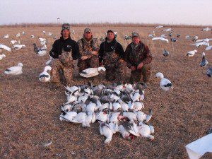 February 24…another example of a great February snow goose hunting. This party shot 38 for the day...10 in the morning and 28 in the afternoon. I had hunted the morning with another party that shot 24 on their half day hunt. I then came to this field giving my guide the afternoon off and shot 28 with them. Between the two parties I ended the day with 52. February should not be overlook as it has some great hunting opportunities.