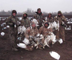 snow goose hunting in missouri