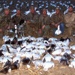 Late February snow goose hunt... 62 snow geese.