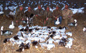 Late February snow goose hunt... 62 snow geese.