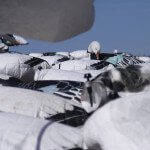 Large spread of decoys are very attractive to snow geese.